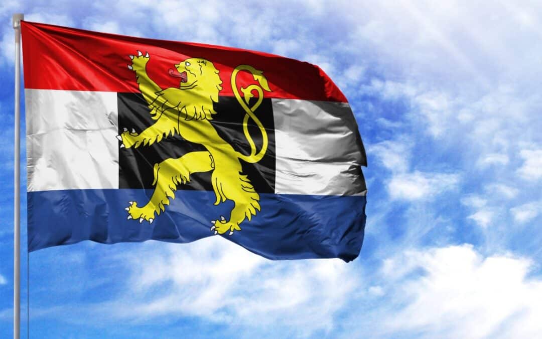 drapeau national du Benelux concept marque benelux